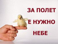 вяра инс банер застрахователен брокер
